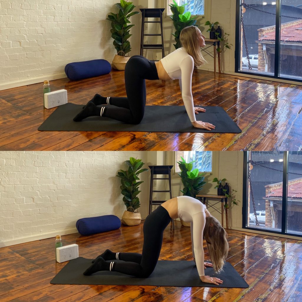 Yoga Chest Exercises to Strengthen and Release Your Pecs  https://fitbodyhome.com/yoga-chest-exercises/ | Chest workouts, Exercise,  Fitness advice